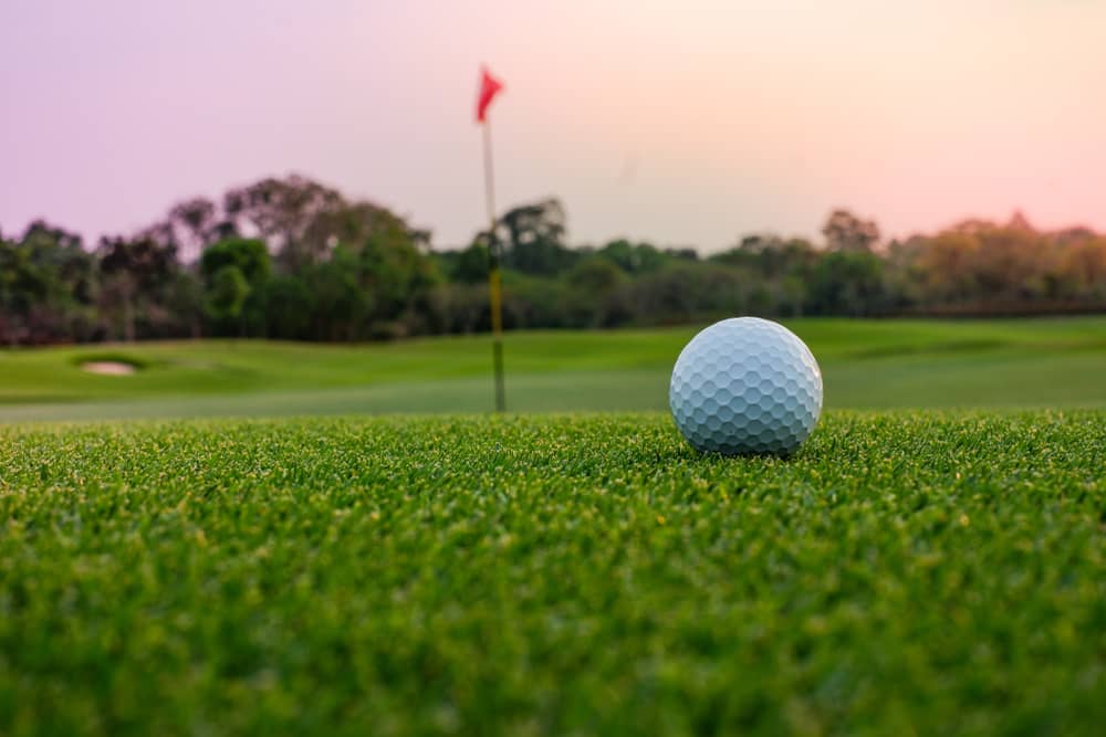 Heinz Haunschild